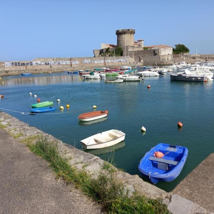 Apartment Avec Piscine, 600m Ciboure